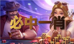 分析材料一老夫图218期