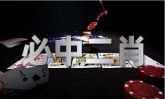 各类狗的引见材料
